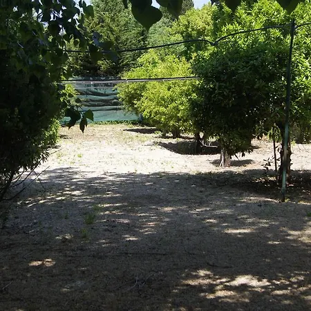 Alli Foggi Gallipoli